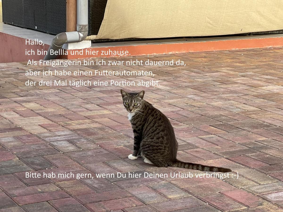 Finisterre Curacao Villa Westpunt Dış mekan fotoğraf