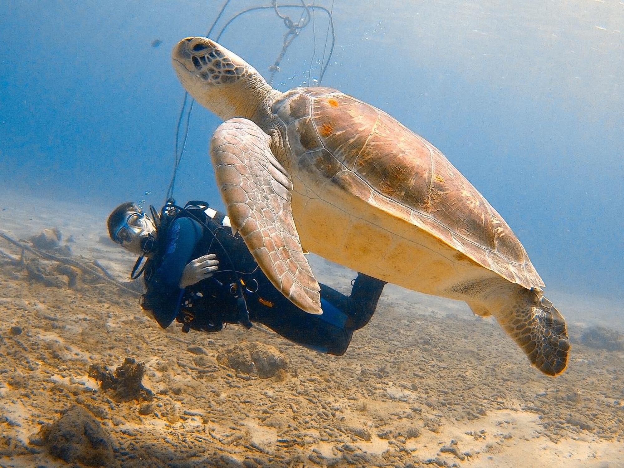 Finisterre Curacao Villa Westpunt Dış mekan fotoğraf