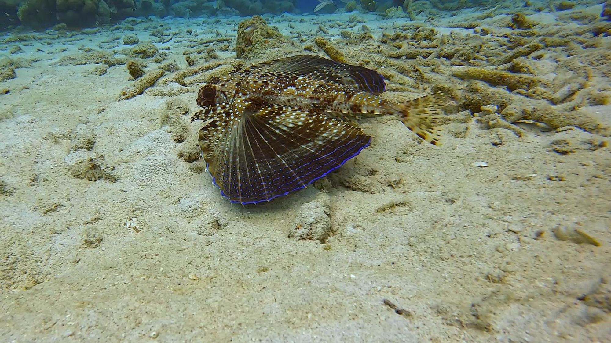 Finisterre Curacao Villa Westpunt Dış mekan fotoğraf